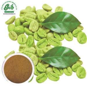 Green Coffe Bean Extact Powder/Green Life Extract/gl-herb.com