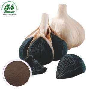 Black Garlic Extact Powder/Green Life Extract/gl-herb.com