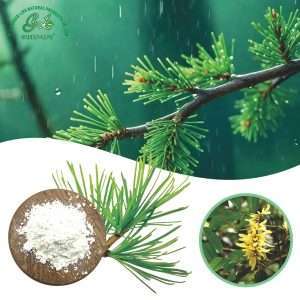 Dihydroquercetin Powder/Green Life Extract/gl-herb.com