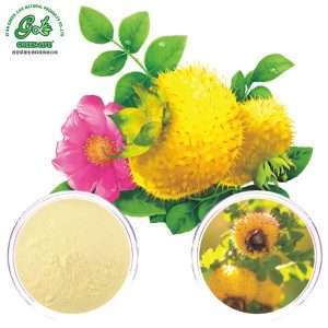 Roxburgh Rose Extract Powder/Green Life Extract/gl-herb.com