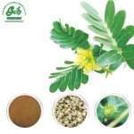 Tribulus Terrestris Extract/Green Life Extract/gl-herb.com