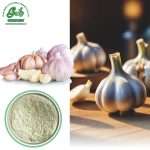 Garlic extract powder/Green Life Extract/gl-herb.com