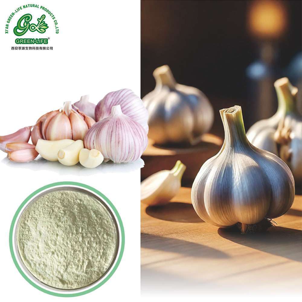 Garlic extract powder/Green Life Extract/gl-herb.com