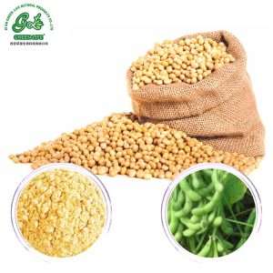 Soybean Extract Powder