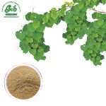Ivy Extract Powder/Green Life Extract/gl-herb.com