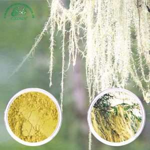 Usnic Acid 98%