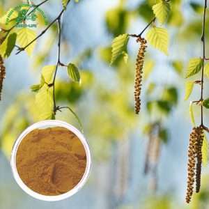 Brich leaf extract Powder/Green Life Extract/gl-herb.com