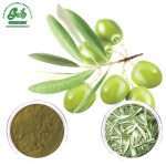 Olive Leaf Extract Powder/Green Life Extract/gl-herb.com