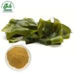 Kelp Extract Powder/Green Life Extract/gl-herb.com