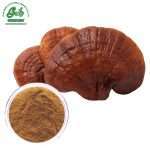 Reishi Mushroom Extract Powder/Green Life Extract/gl-herb.com