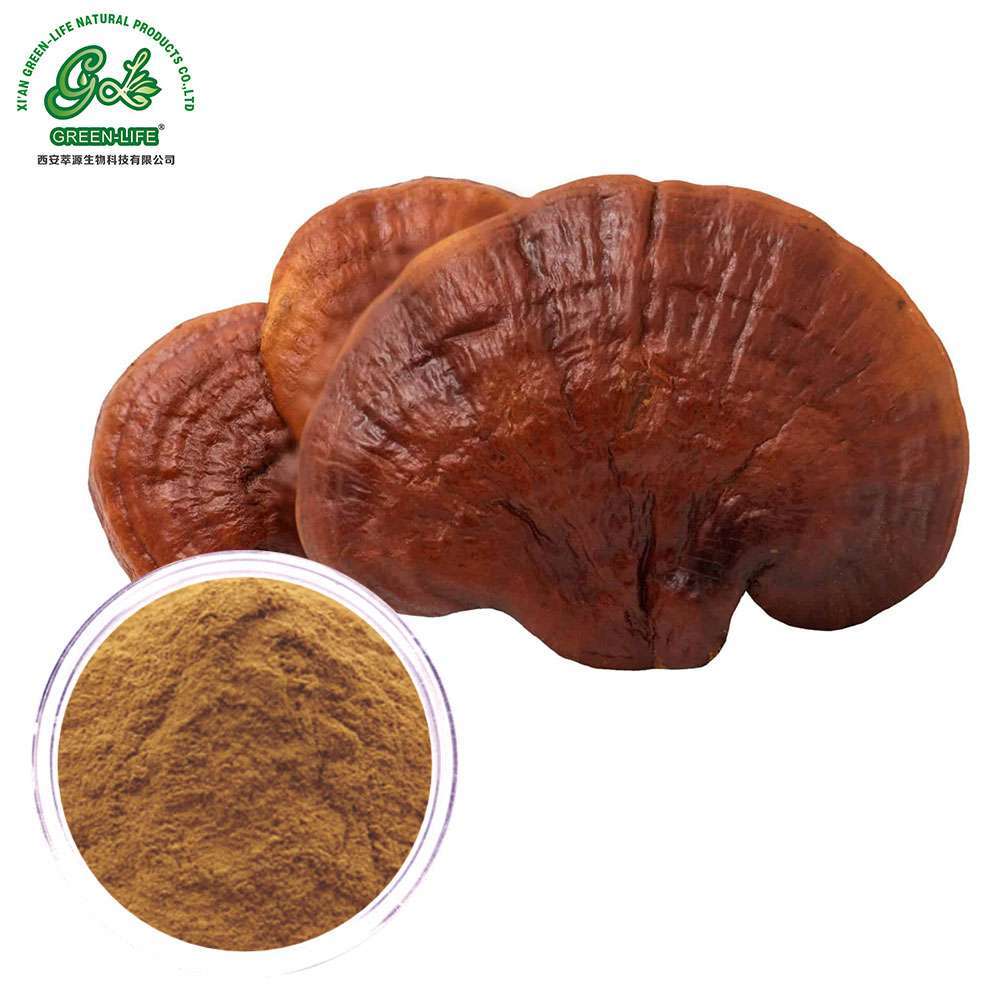 Reishi Mushroom Extract Powder/Green Life Extract/gl-herb.com