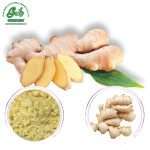 Ginger Root Extract /Green Life Extract/gl-herb.com