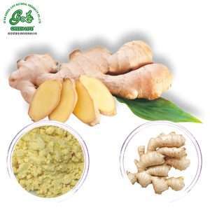 Ginger Root Extract /Green Life Extract/gl-herb.com