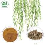 White Willow Bark Extract Powder/Green Life Extract/gl-herb.com