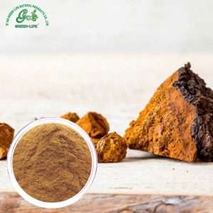 白桦茸取物粉末