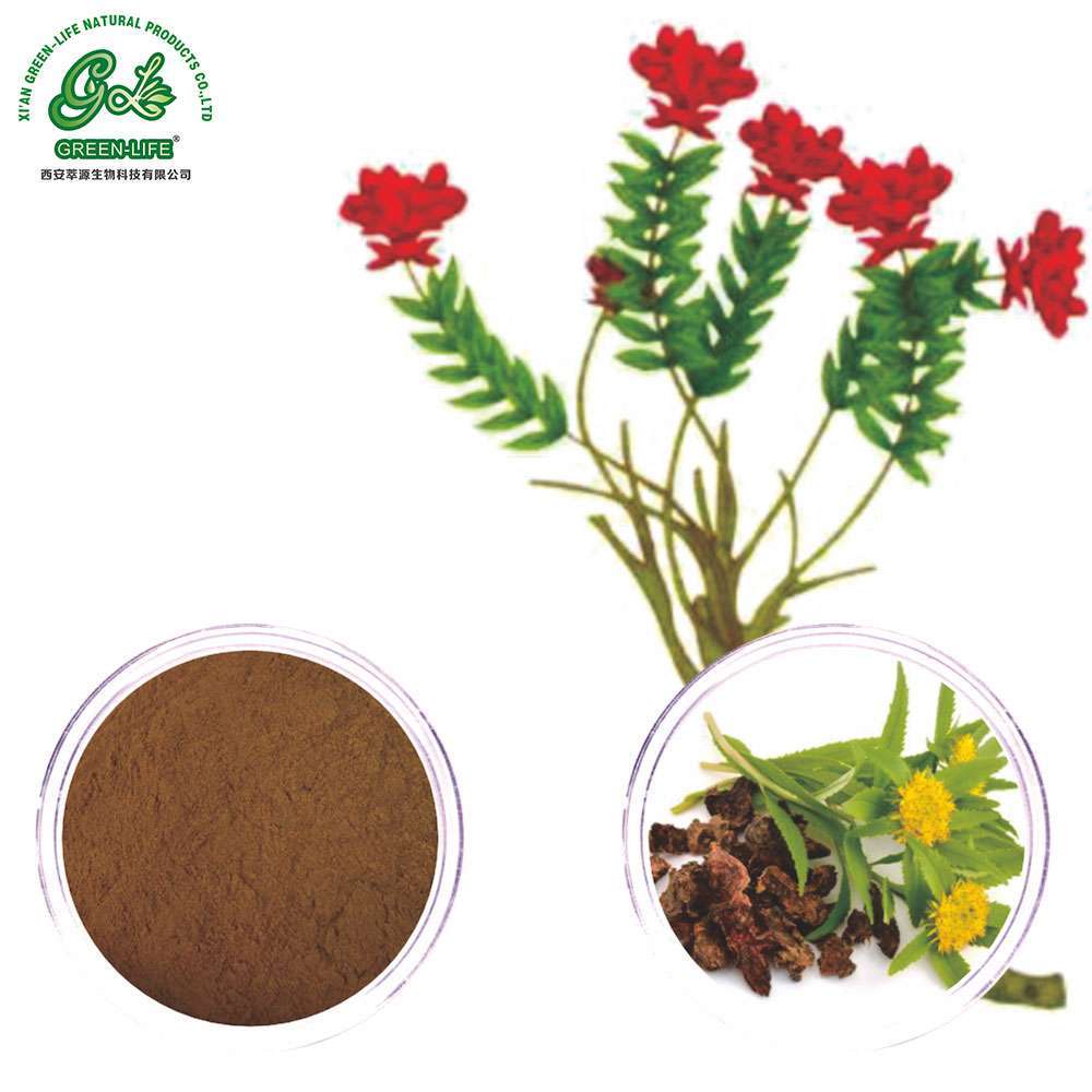 Rhodiola Rosea Extract Powder - Premium Adaptogenic Botanical Extract for B2B Manufacturing