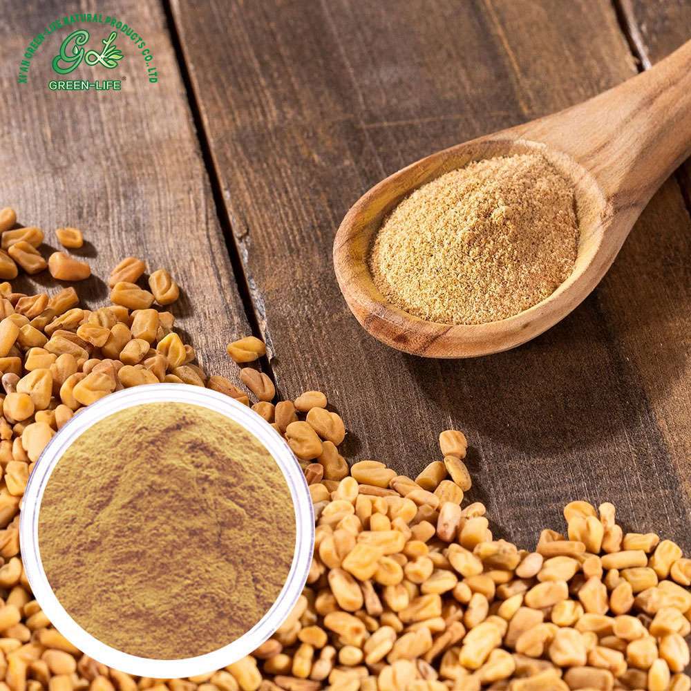 Fenugreek Seed Extract powder/Green Life Extract/gl-herb.com