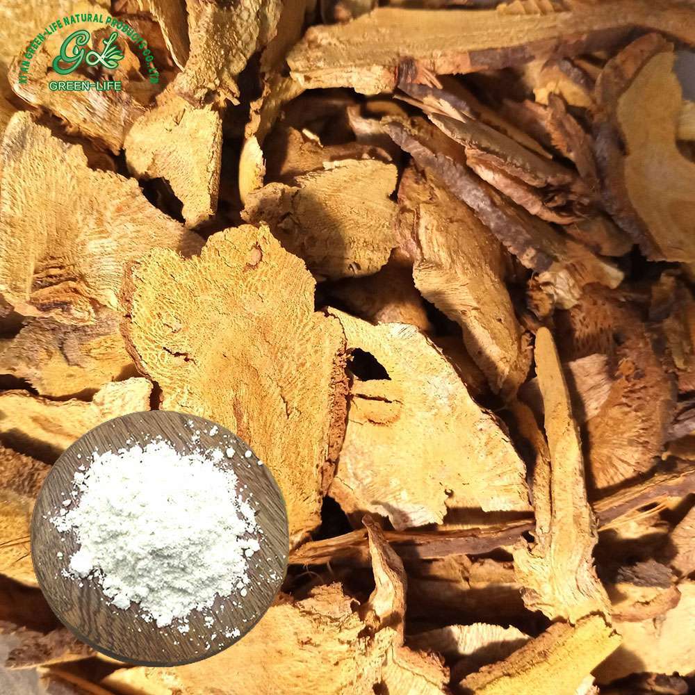 Giant Knotweed Extract Powder/Green Life Extract/gl-herb.com