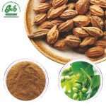 Chebulae Fructus Extract Powder/Green Life Extract/gl-herb.com
