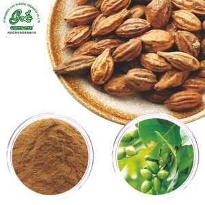 Chebulae Fructus Extract Powder/Green Life Extract/gl-herb.com