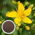 St John's wort extract Powder/Green Life Extract/gl-herb.com