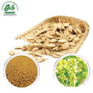 Astragalus Extract Powder/Green Life Extract/gl-herb.com