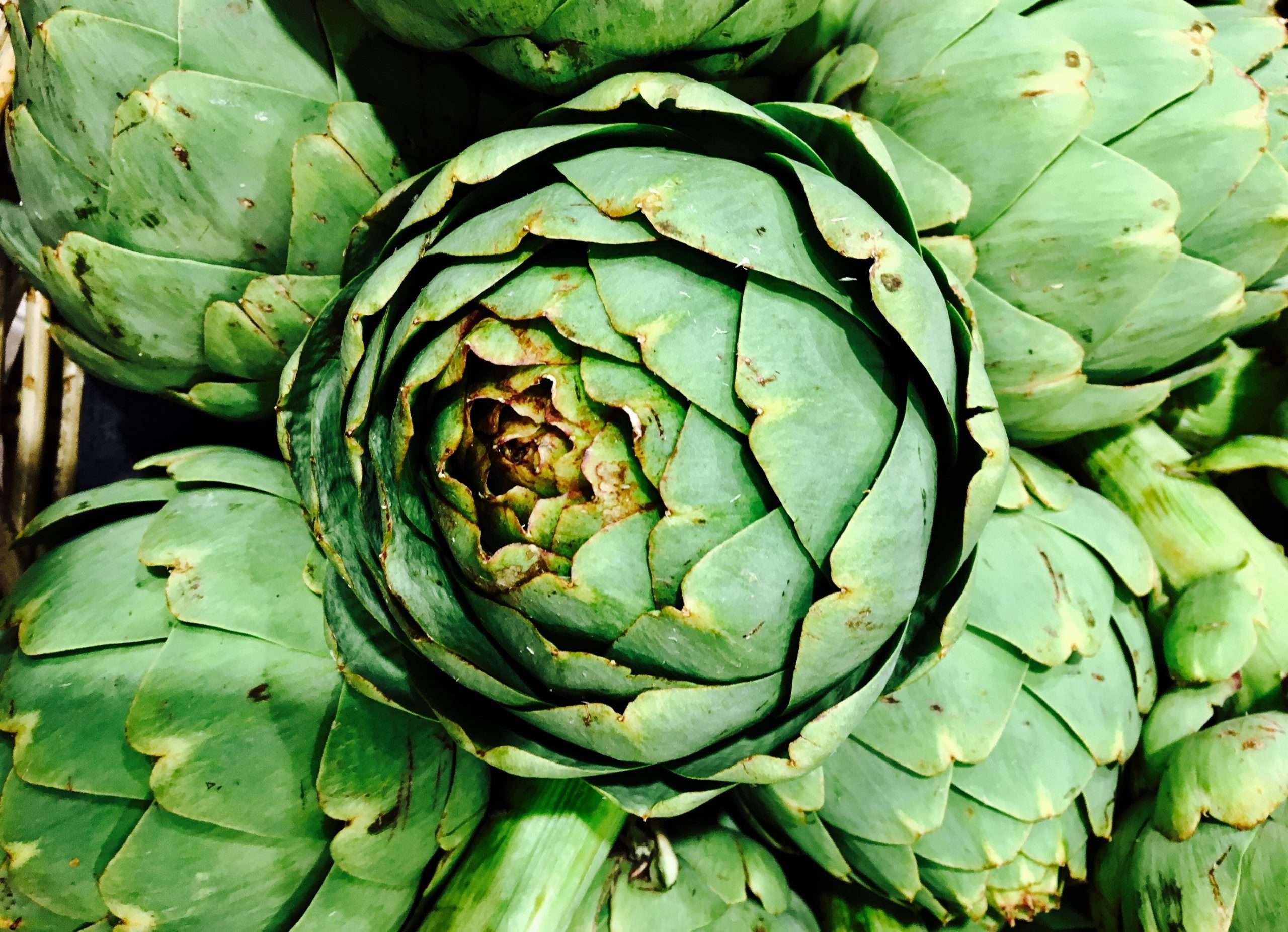 Green Life Herb artichoke