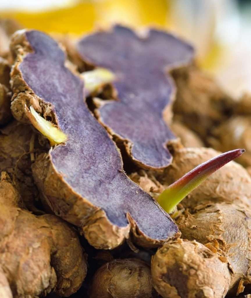 Green Life Herb black ginger extract