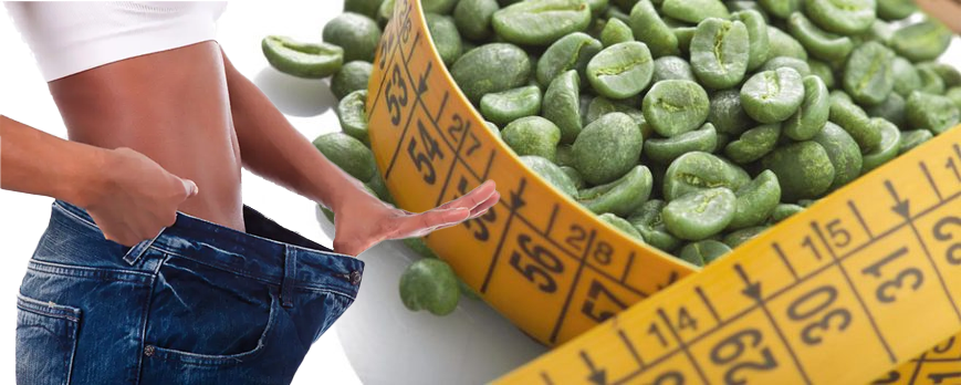 Chlorogenic Acid for Weight Loss