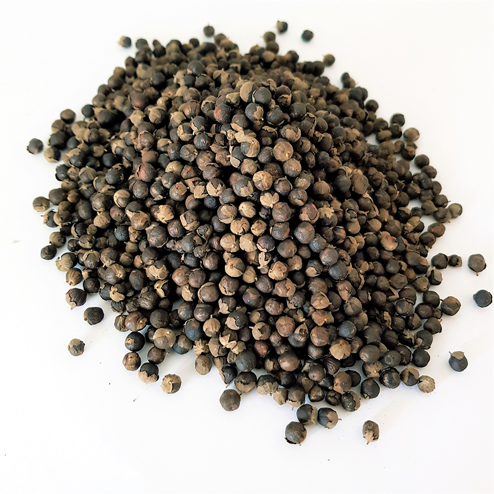 Fructus Viticis Extract Powder