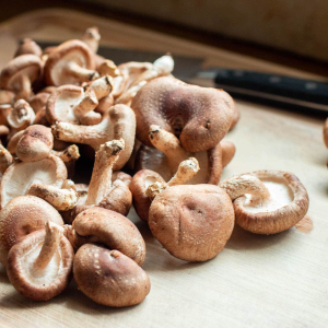 Shiitake mushroom extract powder