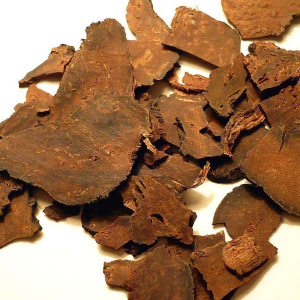 Fo-Ti Extract Powder