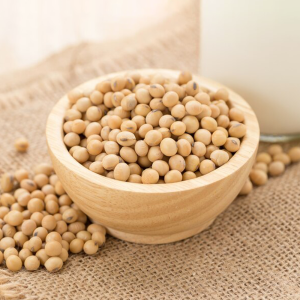 Soybean Extract Powder