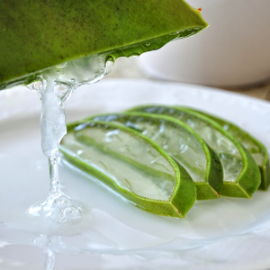 Aloe Extract Powder