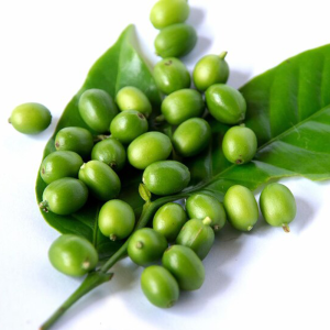 Green Life Herb green coffee bean