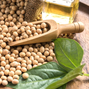 Soybean Extract Powder 40% Isoflavone
