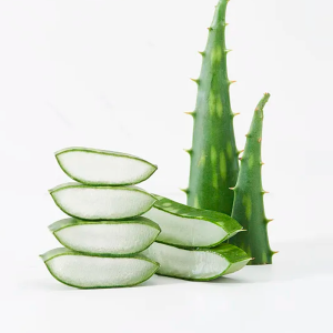 芦荟冻干粉200:1