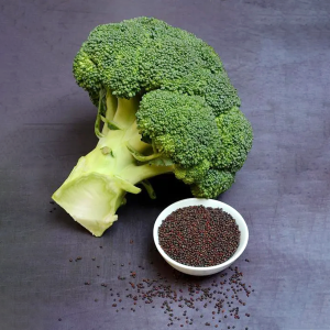 Broccoli Seed Extract powder rich in Glucoraphanin and Sulforaphane for antioxidant and detoxification support
