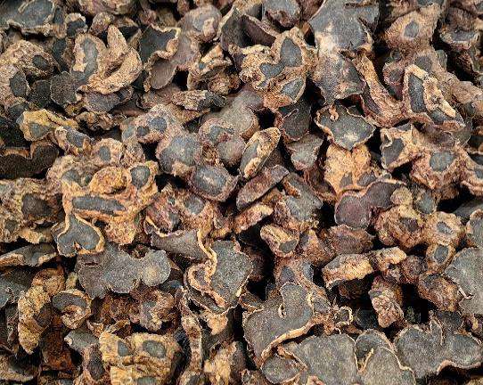Green Life Herb black ginger extract Planting Base