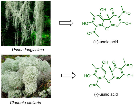 Usnic Acid