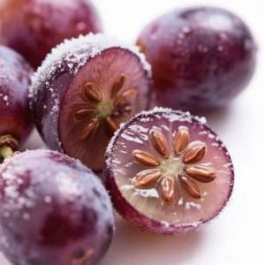 Grape Seeds Extract