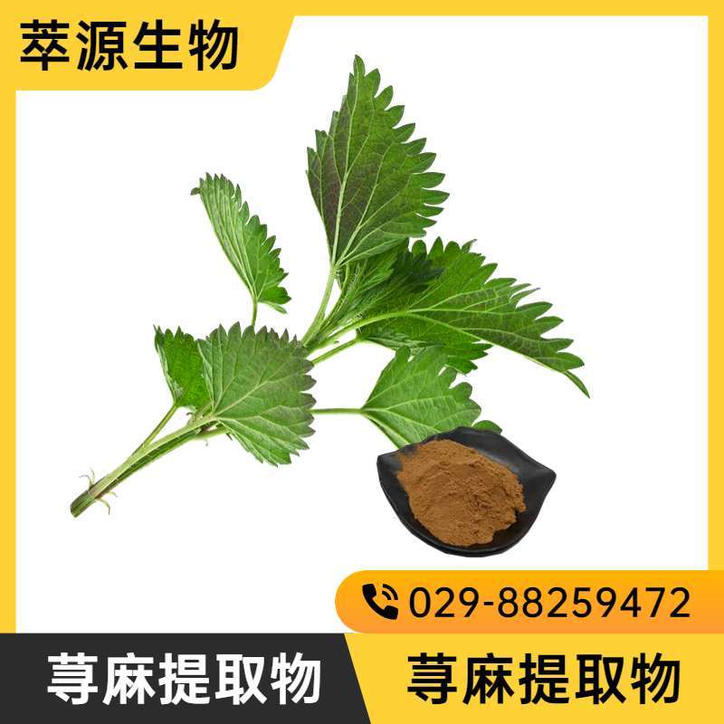 Nettle Extract