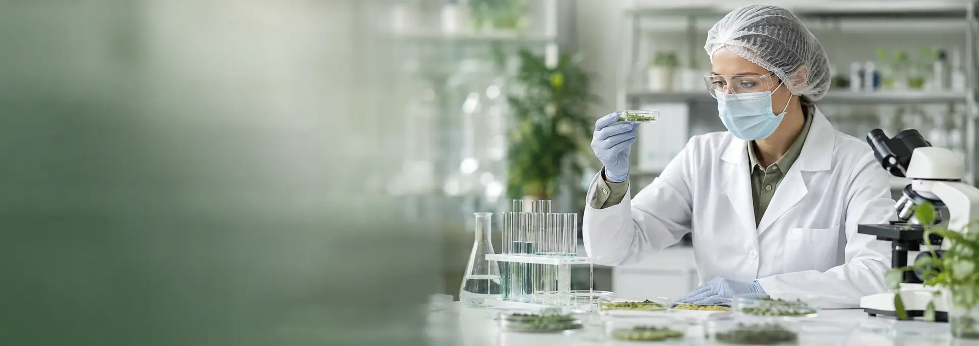 Modern botanical quality-control laboratory