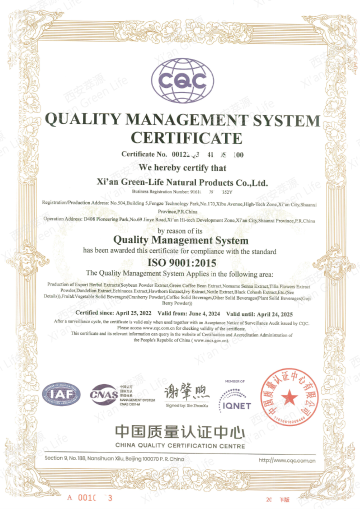 ISO 9001