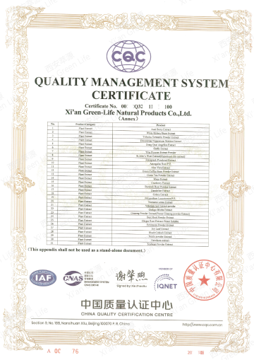 ISO 9001